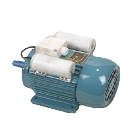 YL系列雙值電容異步電動(dòng)機(jī)