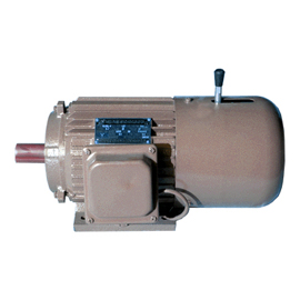 YEJ系列電磁制動(dòng)三相民步電動(dòng)機(jī)